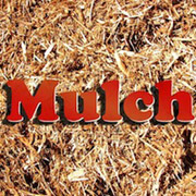Mulch