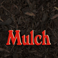 Mulch Mulch