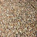 Burgundy River Rock