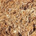 Cedar Mulch