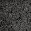 Dakota Black Mulch