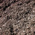 Java Brown Mulch