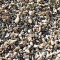 Kaw River Gravel