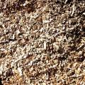 Playground Chips