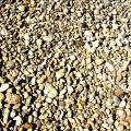 Suburban Muscatine Gravel